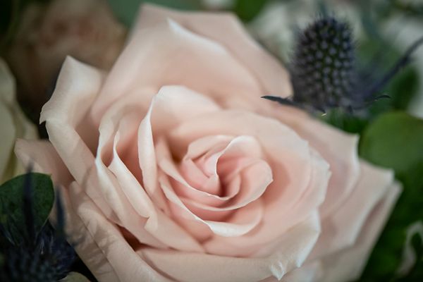 Details, photo 103 of 115