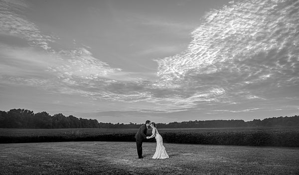 Formals, photo 337 of 369