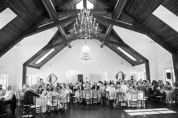 Reception, photo 1 of 286