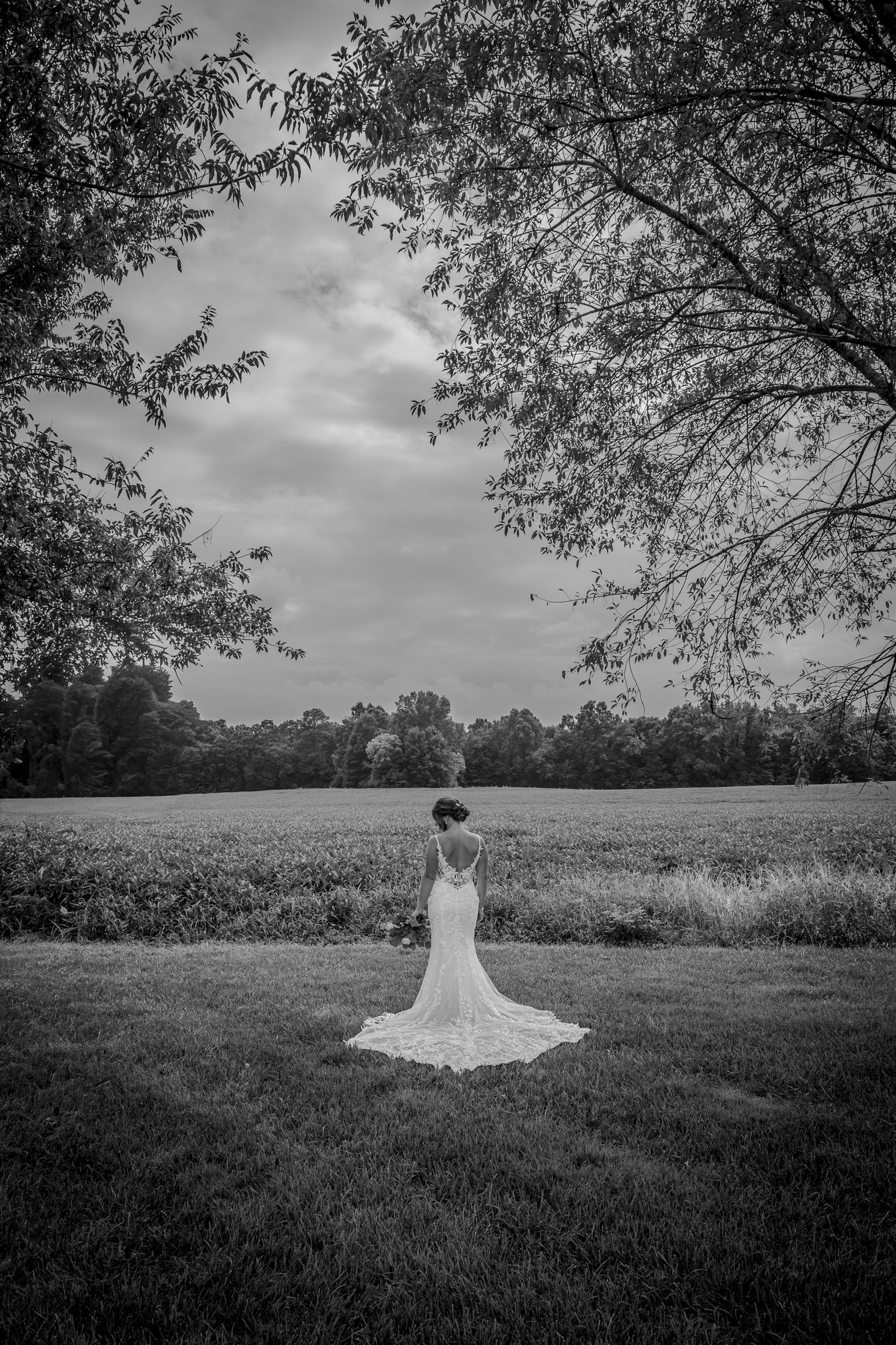 Maria standing alone in a field beneath large trees